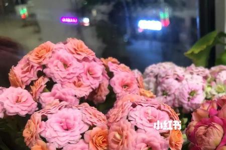 长寿花唐卡和璎珞哪个好看