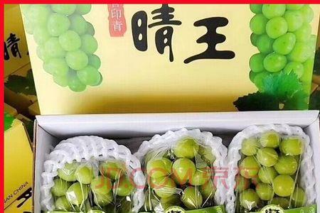 晴王葡萄和阳光玫瑰哪个更贵