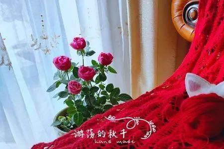 薄单股羊绒围巾编织