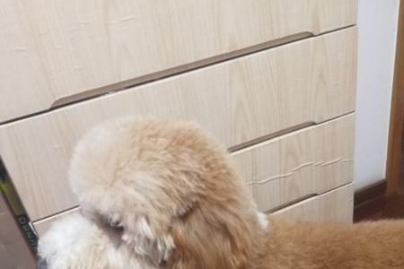 巨贵为什么嘴特别臭