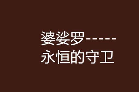 婆娑罗定理
