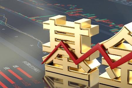 中植基金是公募还是私募