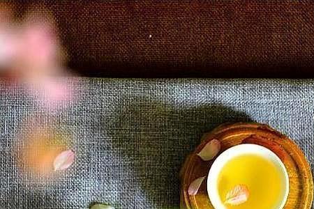 做人着调是什么意思