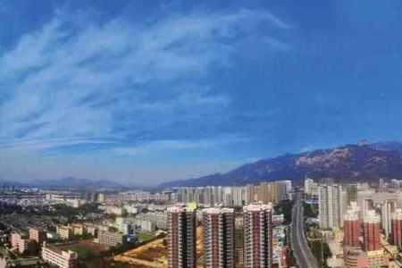 临沂和泰安哪个城市好