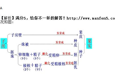 花粉鉴定法原理