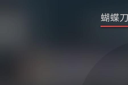 csgo最贵的十件饰品