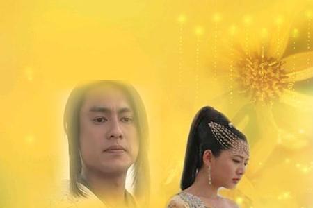石观音什么意思