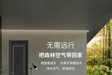 竹炭净醛木门有用吗