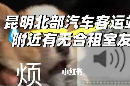 合租车辆是什么意思