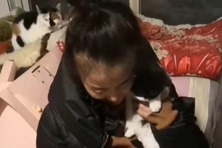 大破高唐州是李雪健版的哪一集