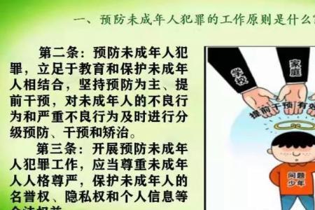 预防未成年人犯罪法第三十八条