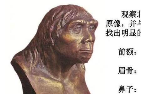 北京猿人取火时间