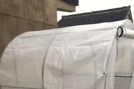 多肉遮阳用窗户隔热膜可以么