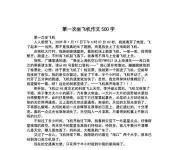 坐飞机首先然后再最后造句