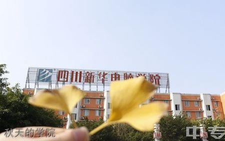 成都新华学校怎么样