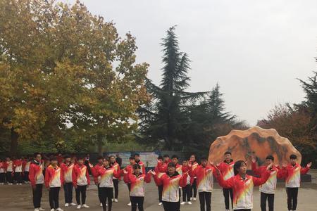 33个人怎么排体操队形好看