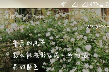 淡淡の微笑指的是什么意思