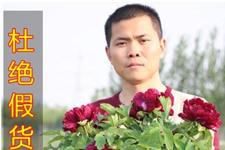 红杆牡丹开什么颜色的花