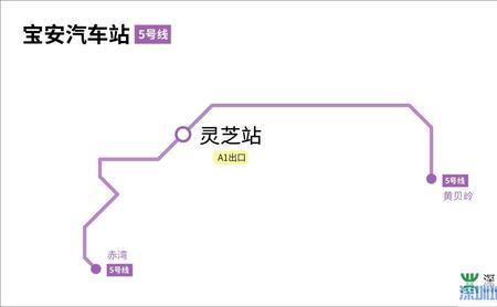 深圳蛇口医院靠近哪个地铁站