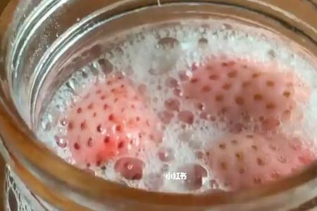 苹果做营养液要发酵多久