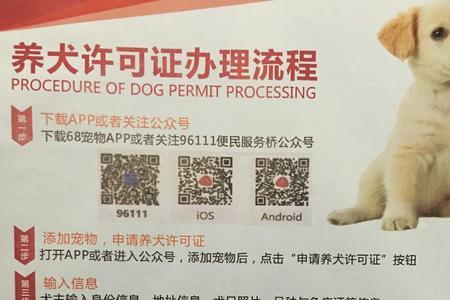 狗证需要年检吗