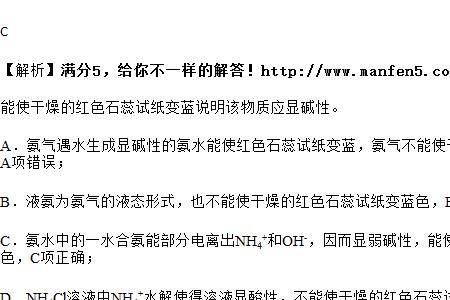 氨气能使石蕊试纸变蓝吗