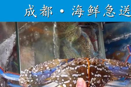 兰花蟹可以用淡水养吗