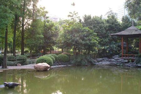 广州天河公园正常开放么