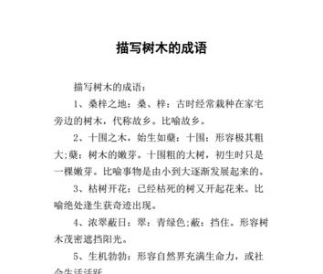 什么树什么阴成语