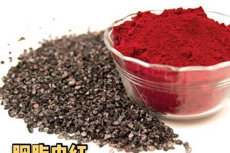 胭脂虫吃啥