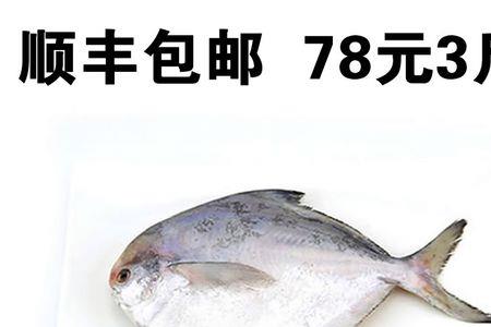 平鱼怎么看新鲜程度