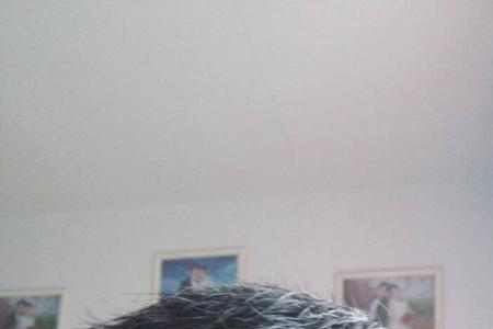为啥自然干头发不蓬松