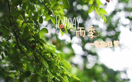 长沙雨季是每年几月份
