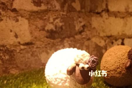 陶叔的意思