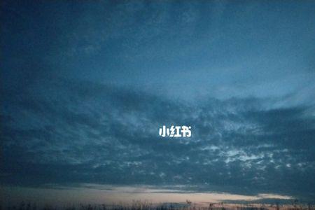 也没有是什么意思
