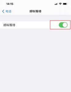 苹果11来电显示主叫号码未显示
