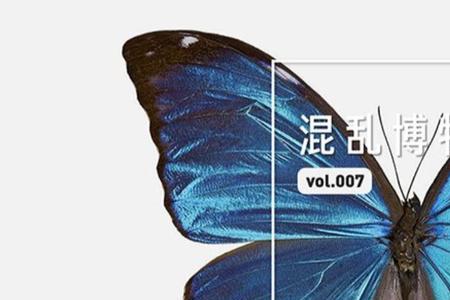 蝴蝶家族里翅膀是透明的是谁