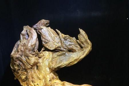 根雕怎么漂白最快