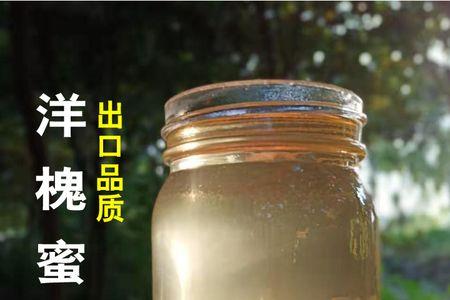 哪里的洋槐蜜最好~