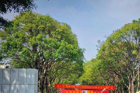 广西农业大学有几个校区