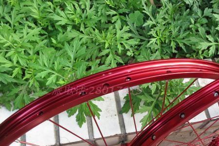 自行车散珠和带珠架哪个更省力