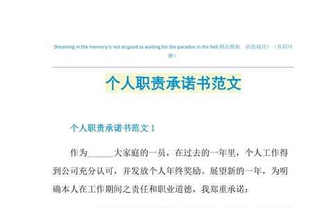 承诺书格式范文用几号字体