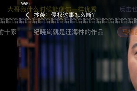 圆桌派六哥是做什么的