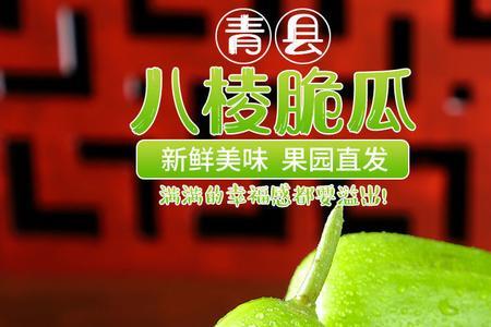 八棱脆瓜怎样才算成熟