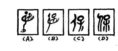 官保什么意思