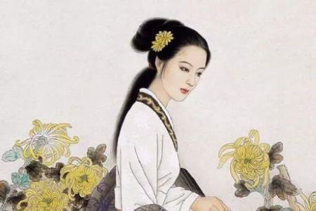 才女配佳人意味着什么