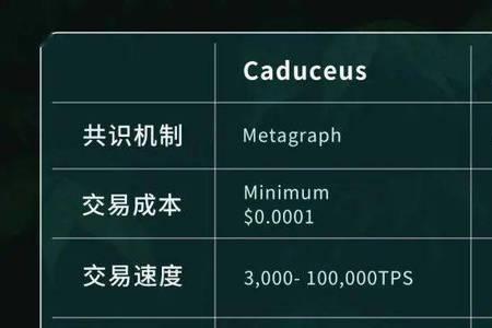 ue5需要学什么编程语言