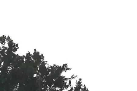 为什么广西人工降雨天天下雨