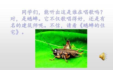 蟋蟀的住宅中昆虫装死读后感