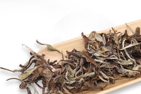 白茶原料哪种最好
